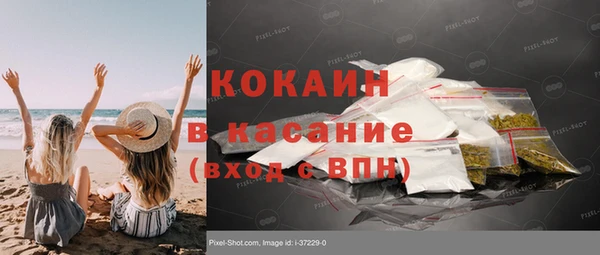 стаф Алексин