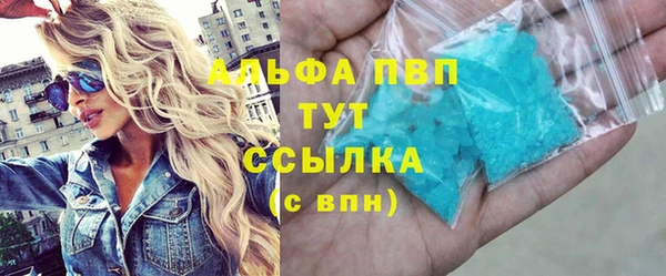 стаф Алексин