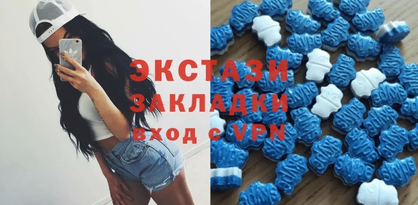 стаф Алексин